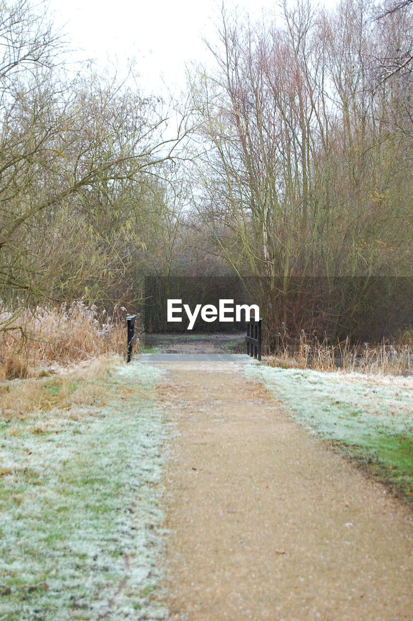 ROAD AMIDST BARE TREES ON FIELD