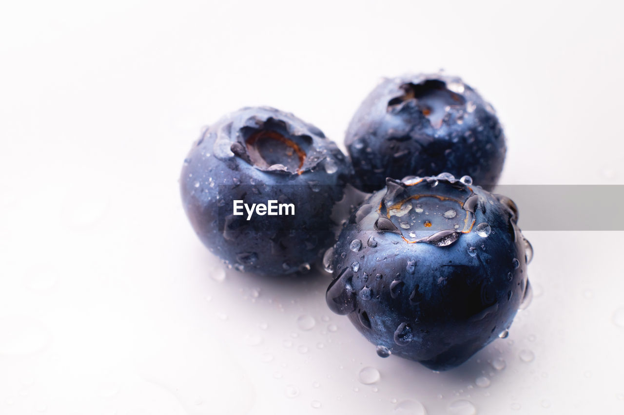 Three blueberries with drops, on a white background. advertising banner, fresh wet blueberries