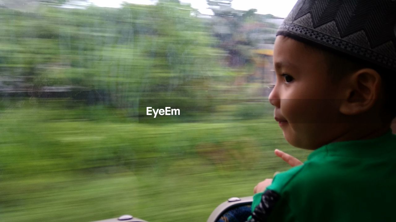 Rear view of boy looking through train window against plants