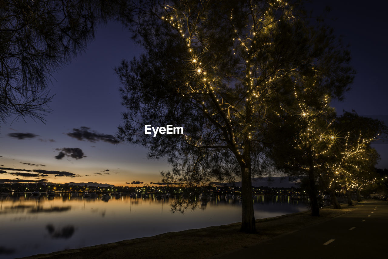 Trees by illuminated lake against sky at night