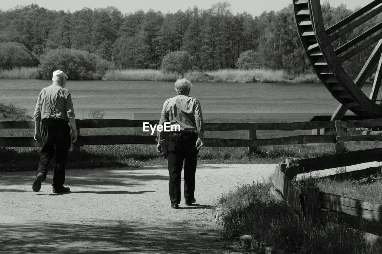 Rear view of senior people walking on footpath against trees