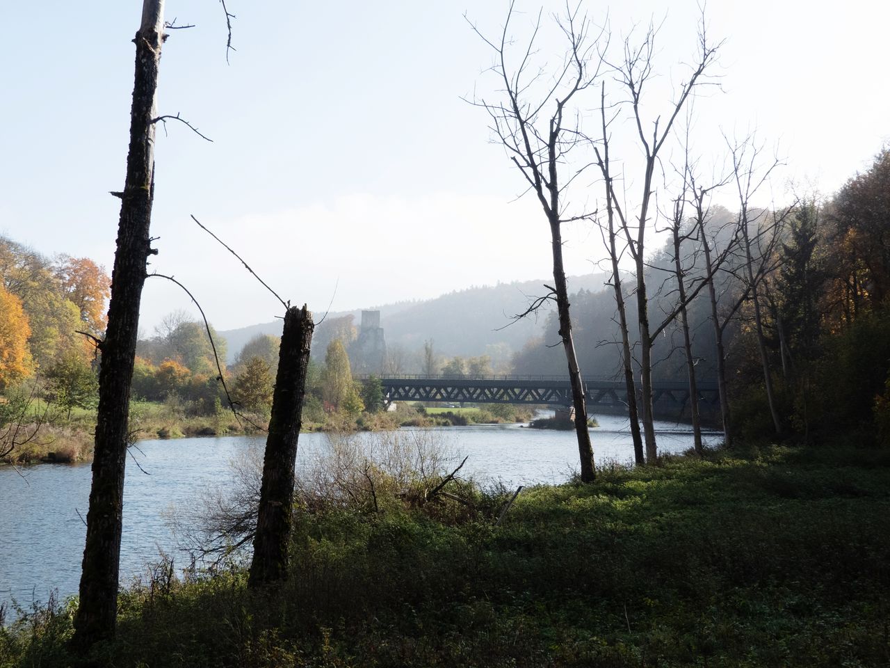 TREES BY LAKE AGAINST SKY