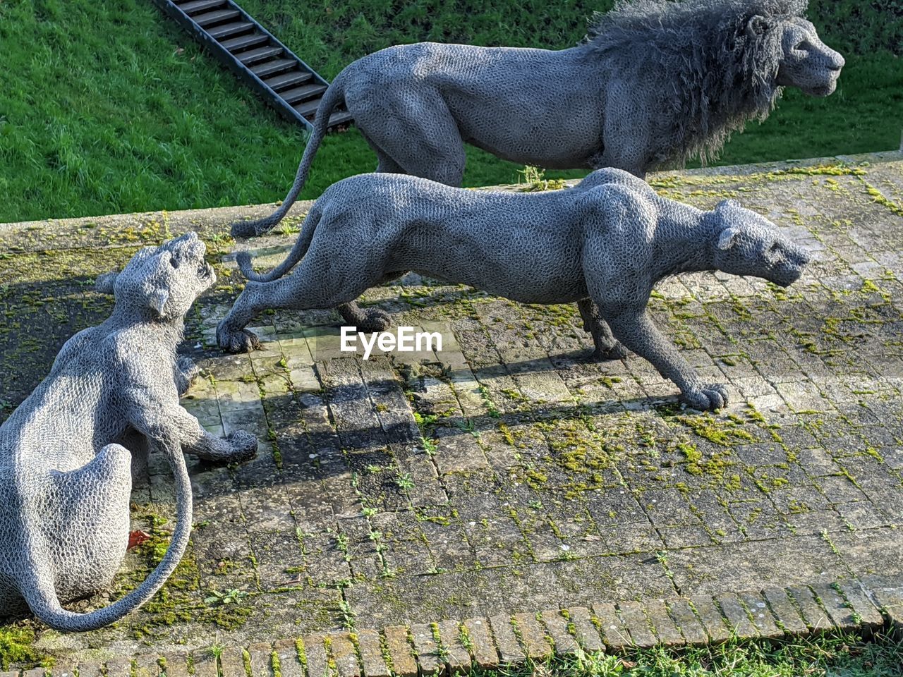 HIGH ANGLE VIEW OF HORSE STATUE