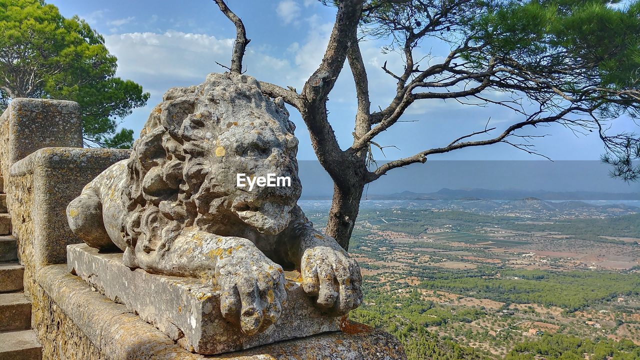 CLOSE-UP OF STATUE AGAINST TREE