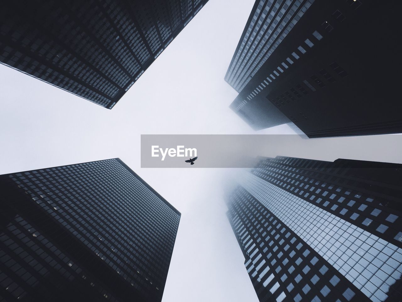 Low angle view of bird flying amidst building in city against sky