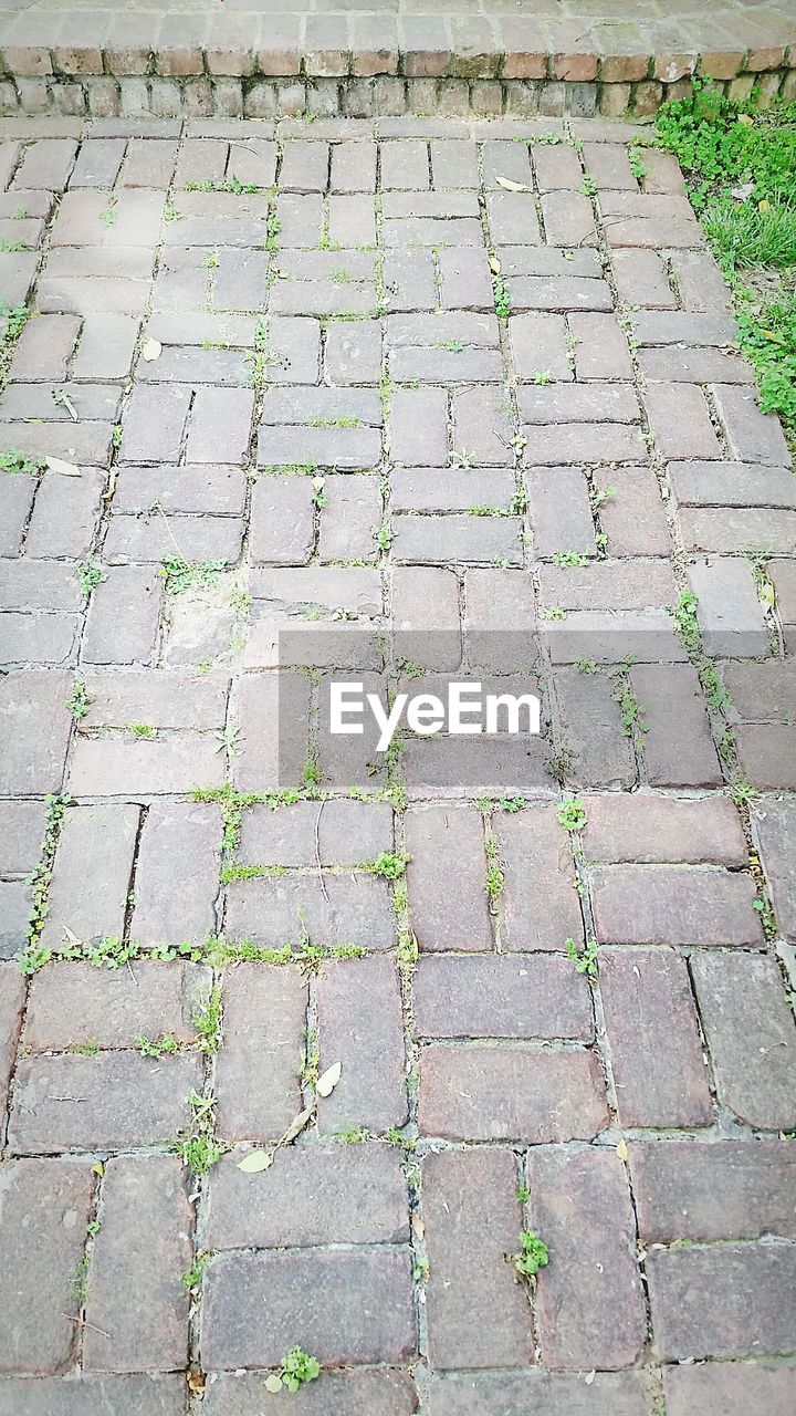 VIEW OF FOOTPATH IN ALLEY