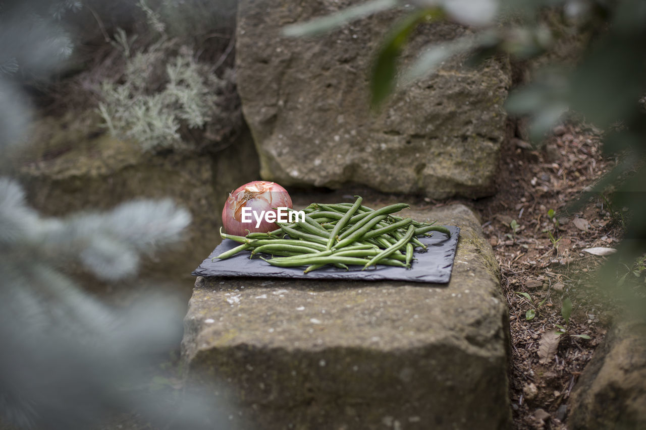 Close-up of fresh vegetables