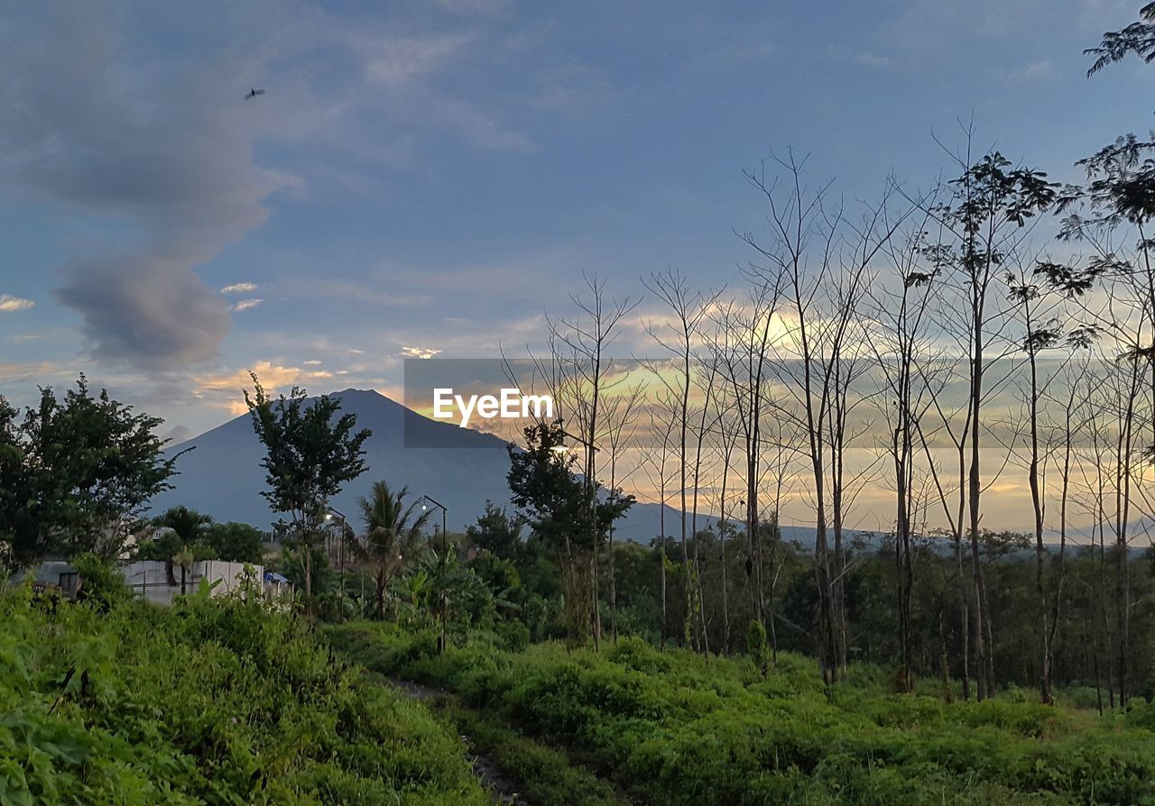 Scenic view of landscape against cloudy sky