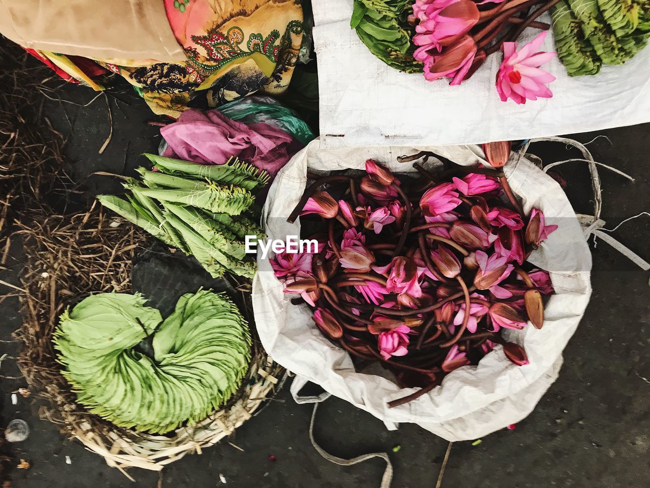 HIGH ANGLE VIEW OF PINK ROSE PLANT