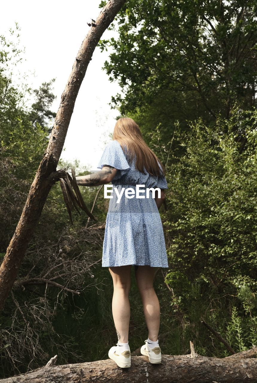 rear view of woman standing on tree trunk