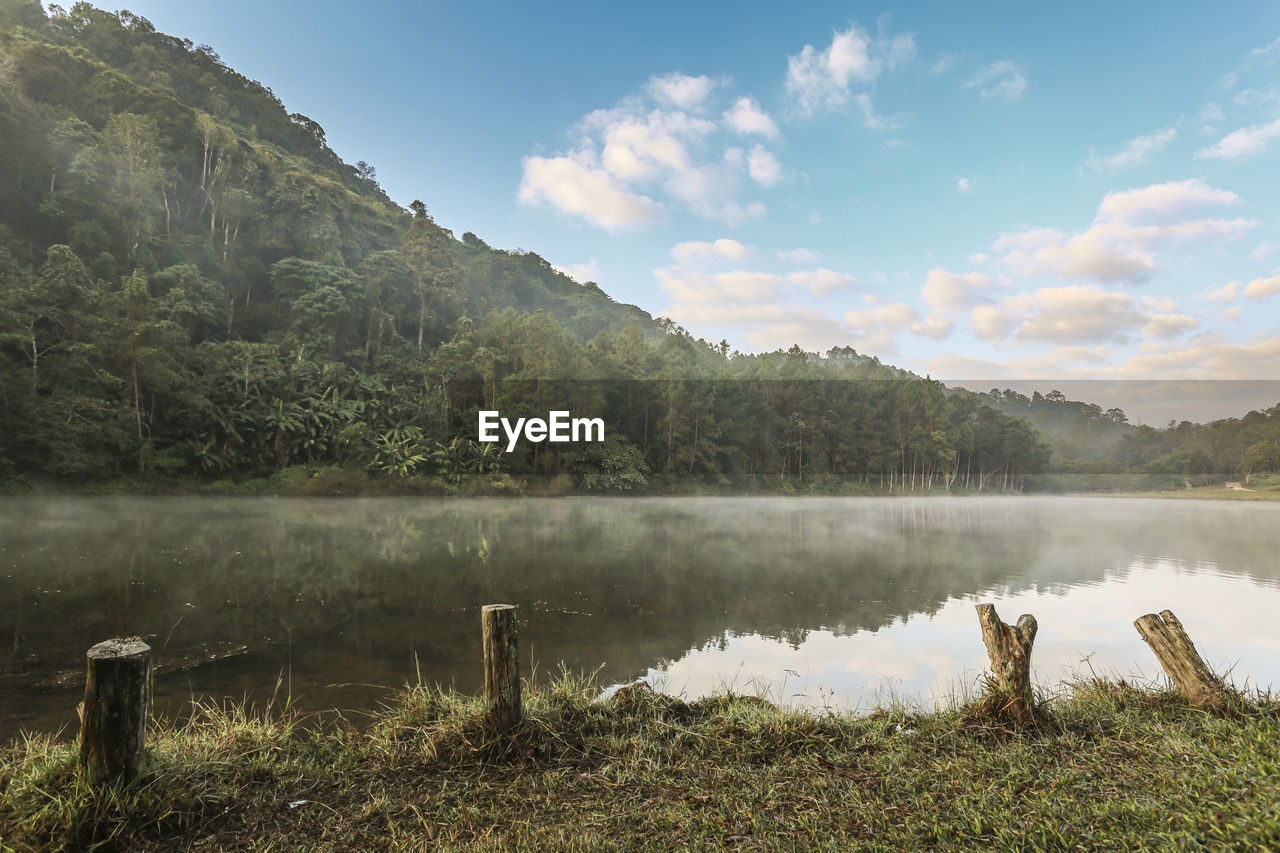 Scenic view of lake by trees against sky