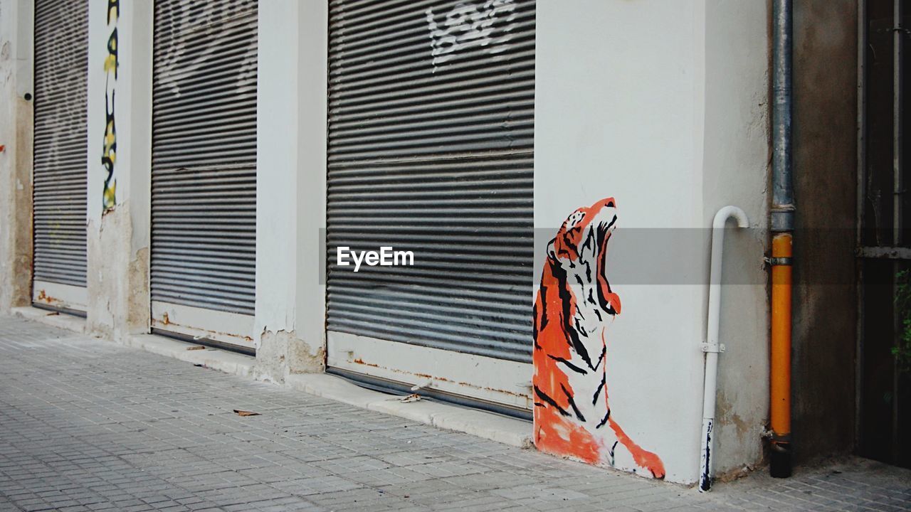 Tiger mural at wall