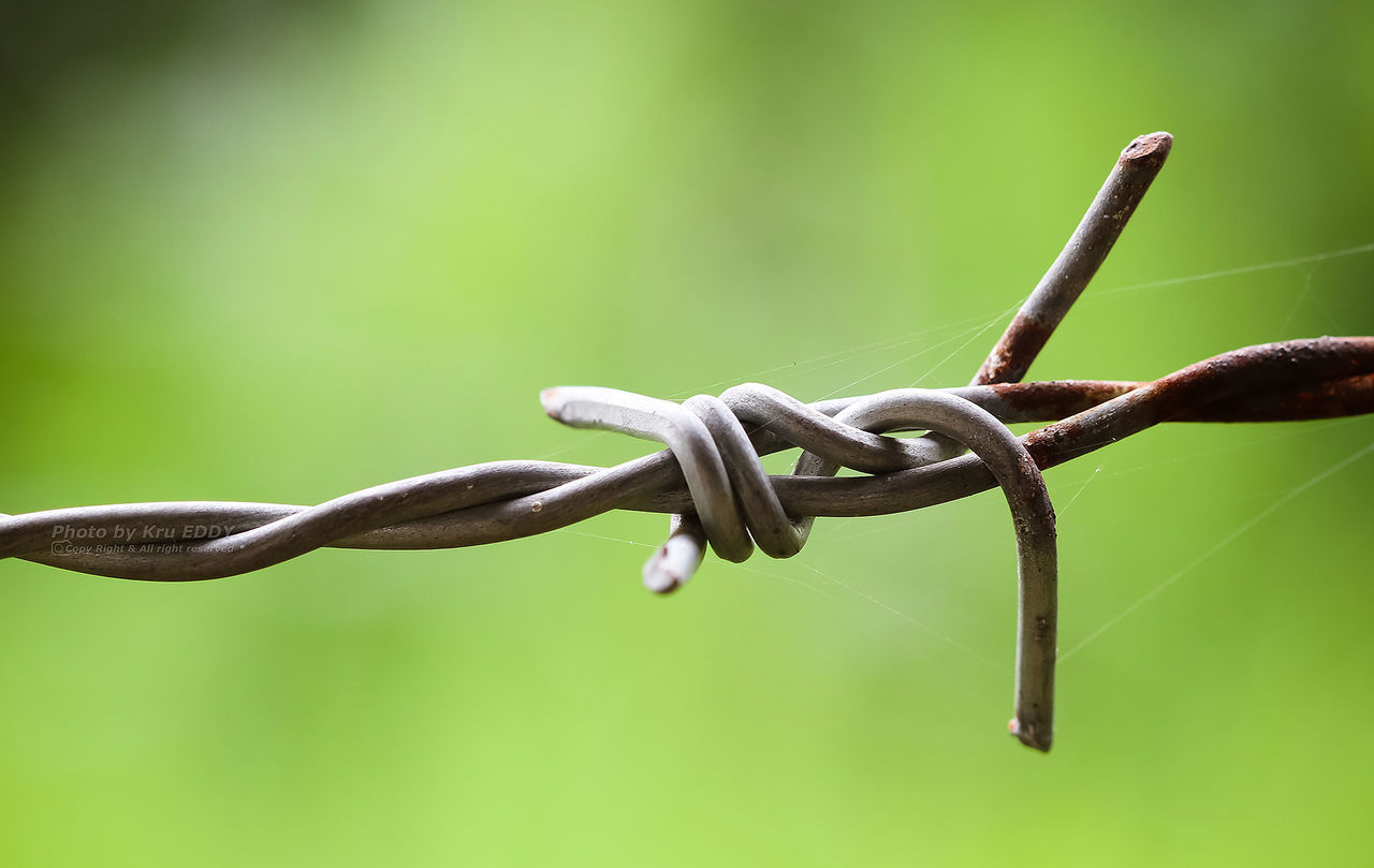 Close-up of metallic fence