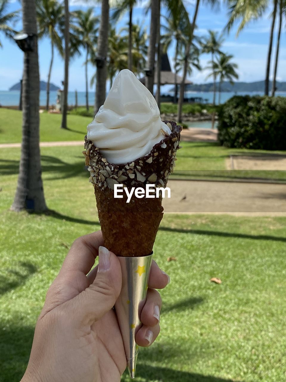 Hand holding ice cream cone against trees