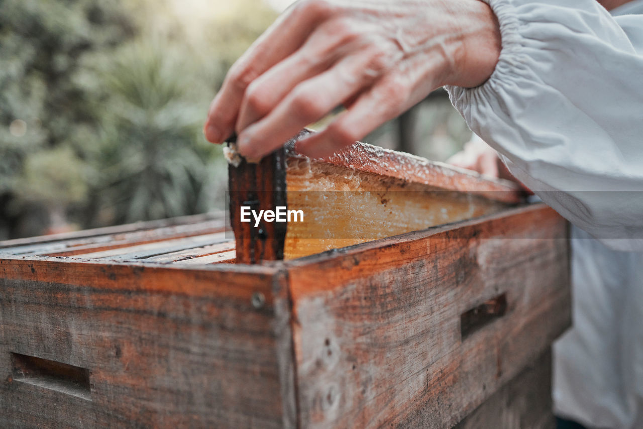 cropped hand of man working on wood