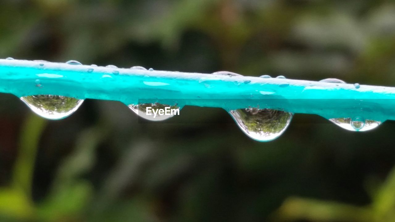 Close-up of raindrops on plastic