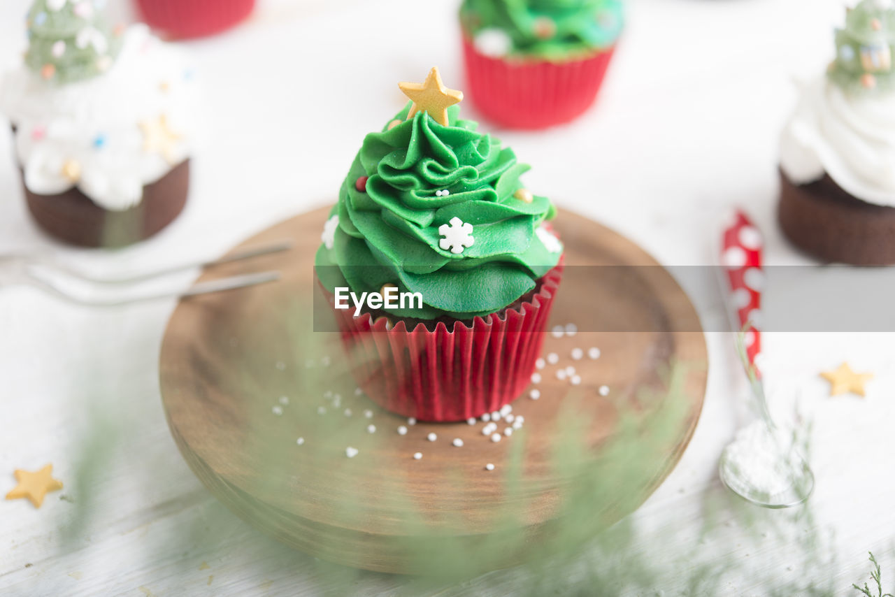 HIGH ANGLE VIEW OF CUPCAKES IN PLATE