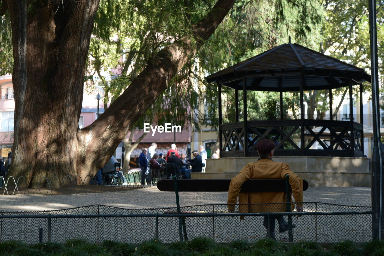 Rear view of man sitting on bench in park