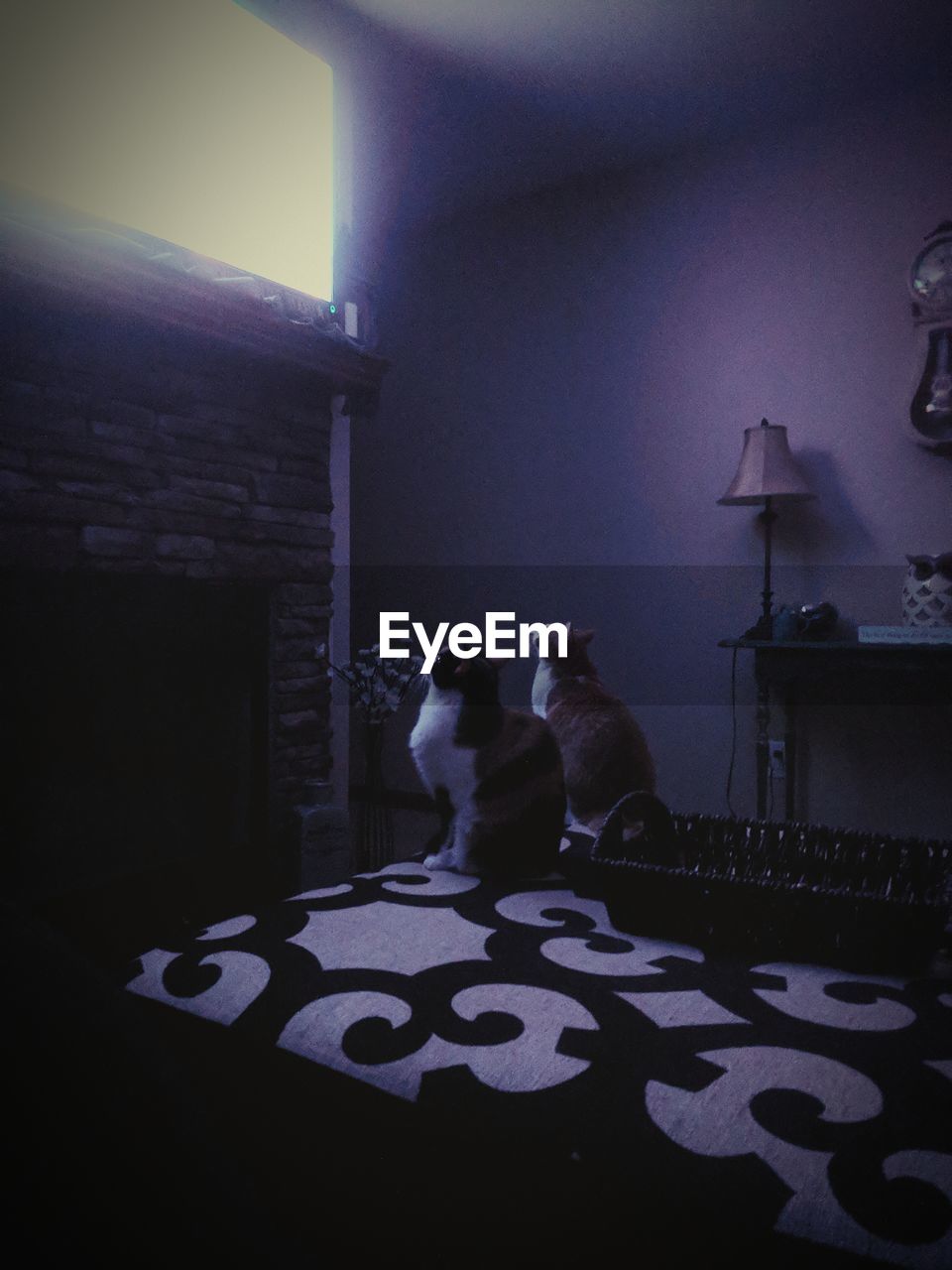Paranormal cativity