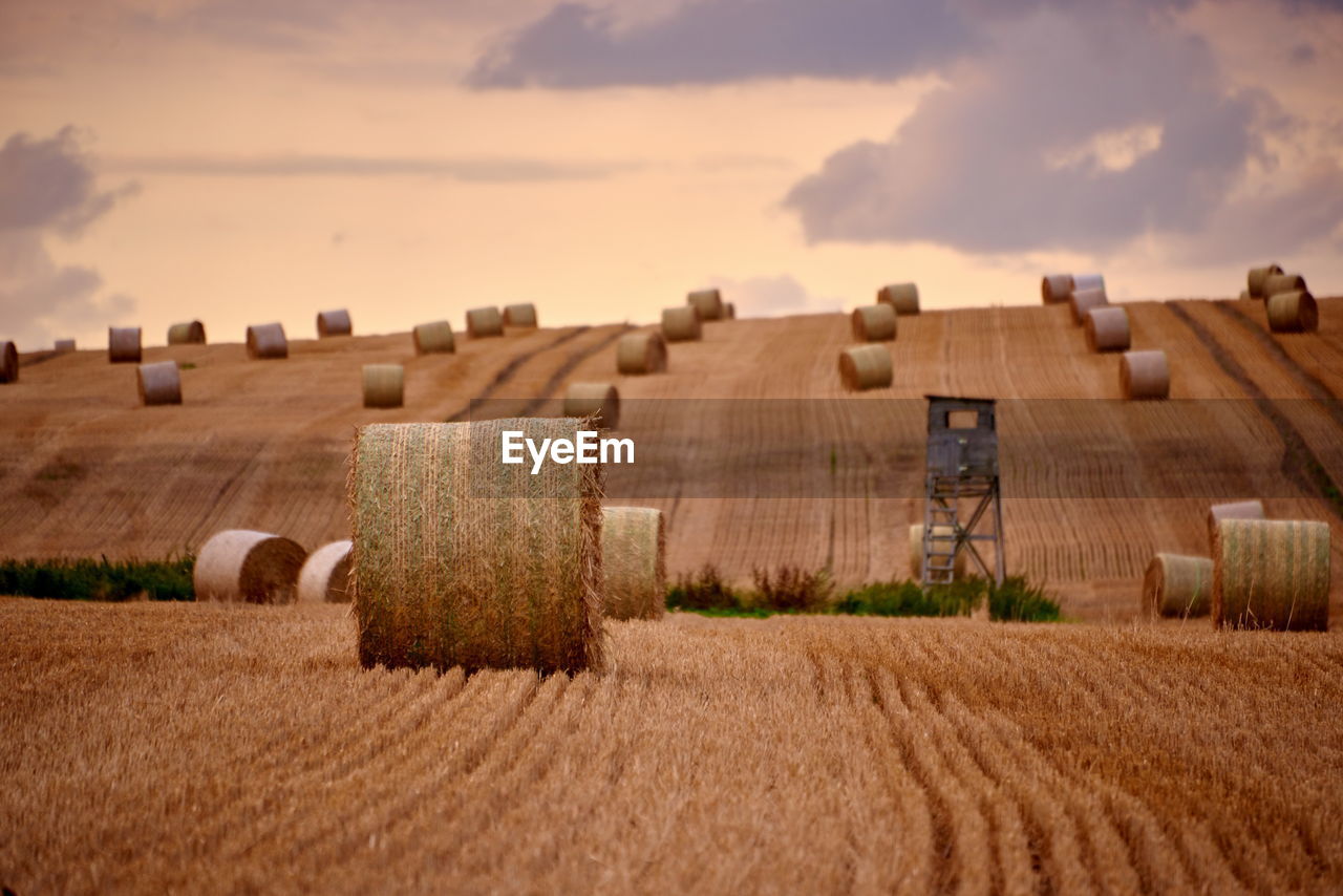 Hay bales on field against sky