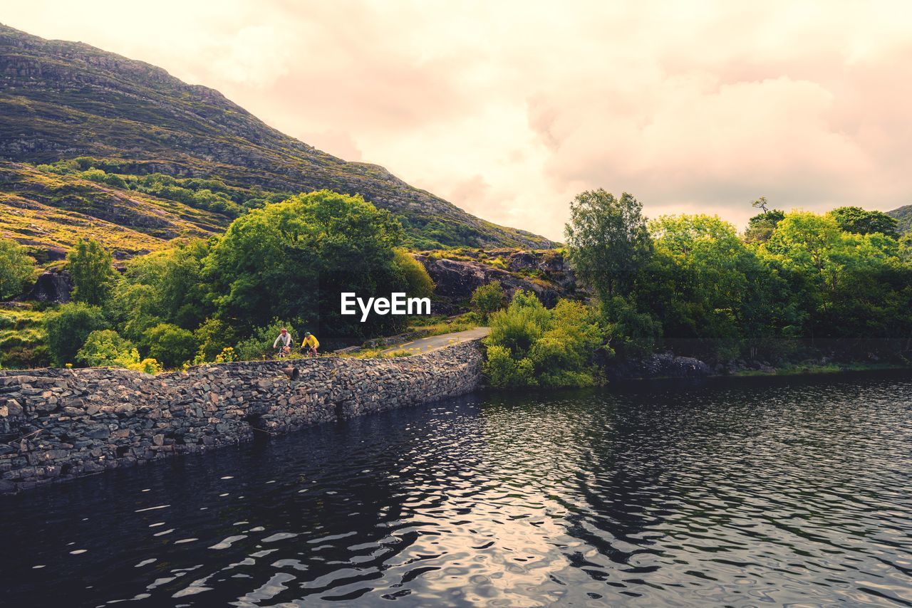 PLANTS BY RIVER AGAINST SKY