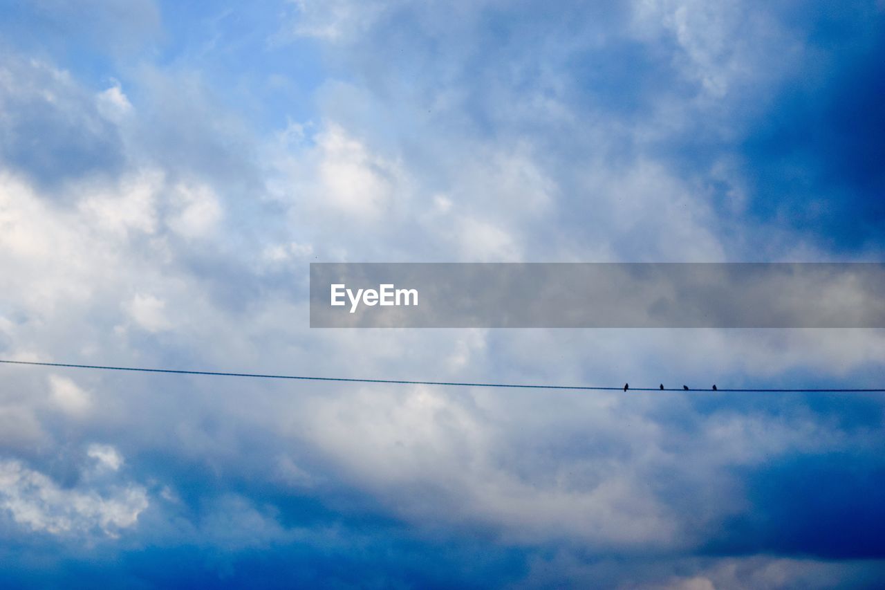 Low angle view of silhouette birds on cable against cloudy blue sky at dusk