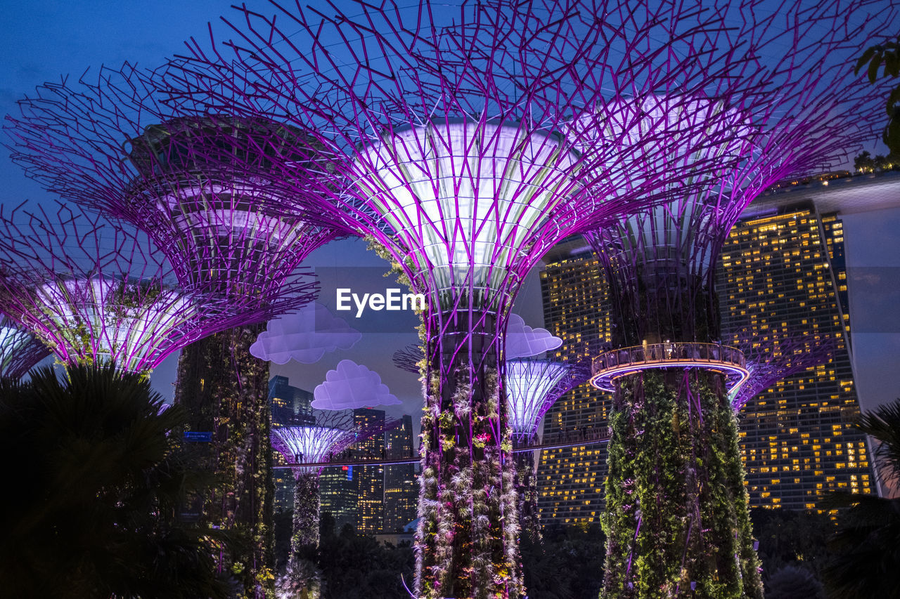 Solar-powered supertrees at dusk in gardens by the bay, singapore.