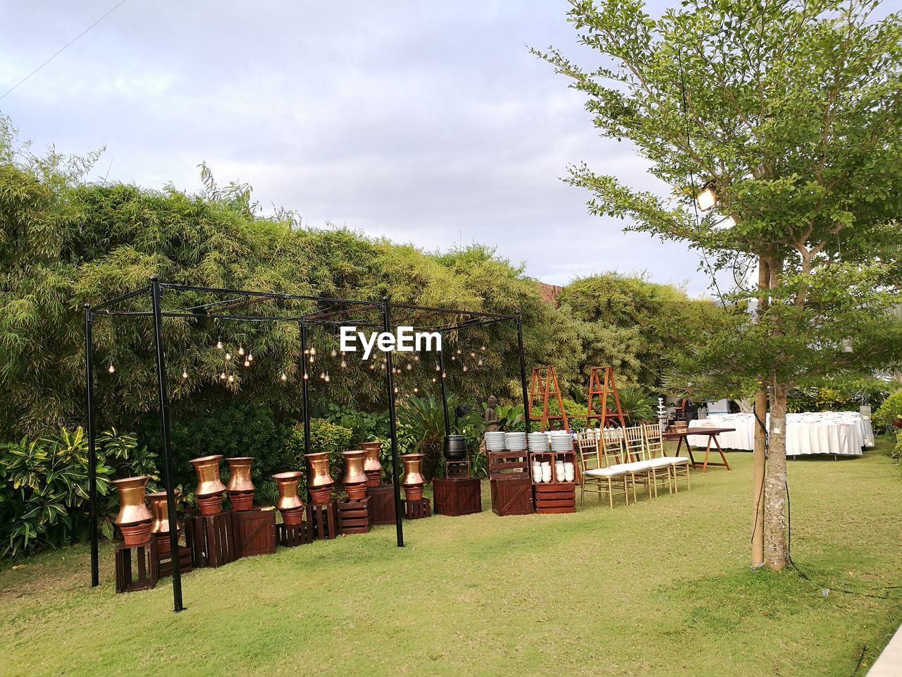 VIEW OF TREES ON FIELD AGAINST SKY