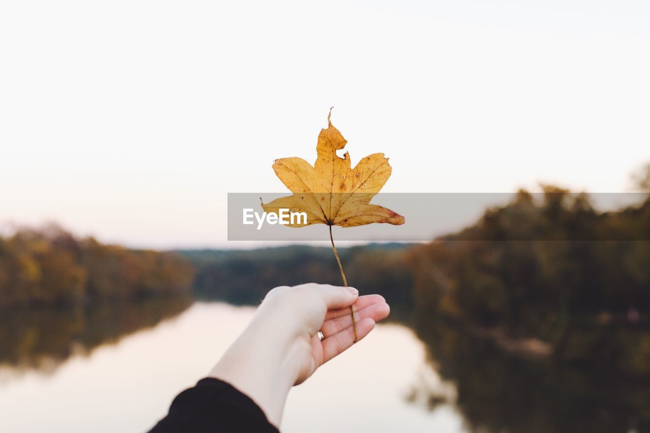 Cropped hand holding leaf by lake