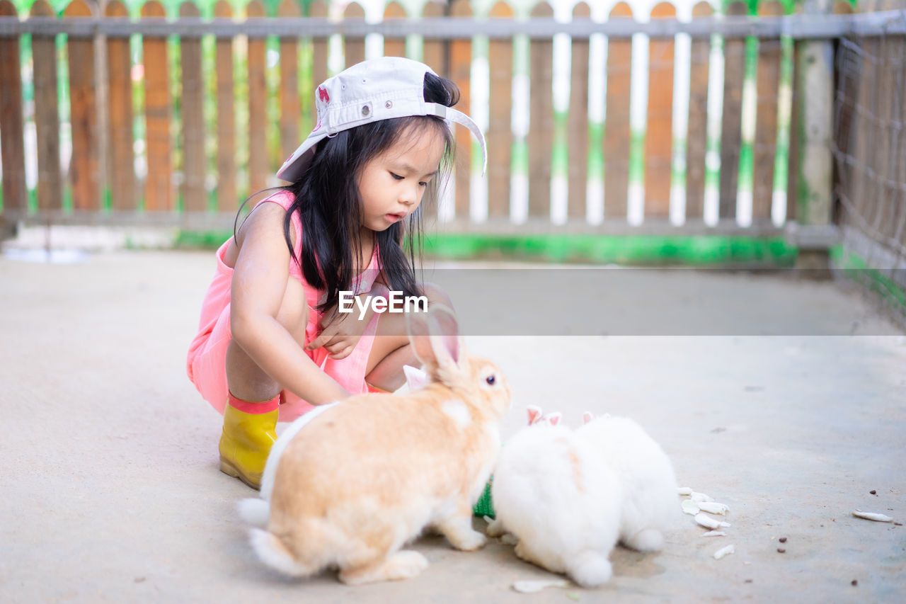 Girl looking at rabbits in yard