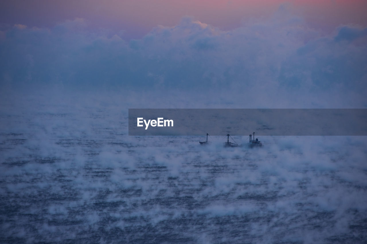 View of birds on sea against sky