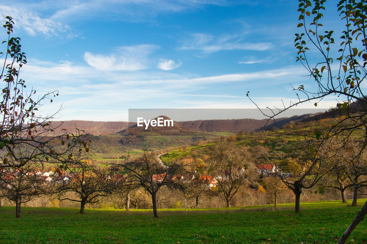 TREES GROWING ON FIELD AGAINST SKY