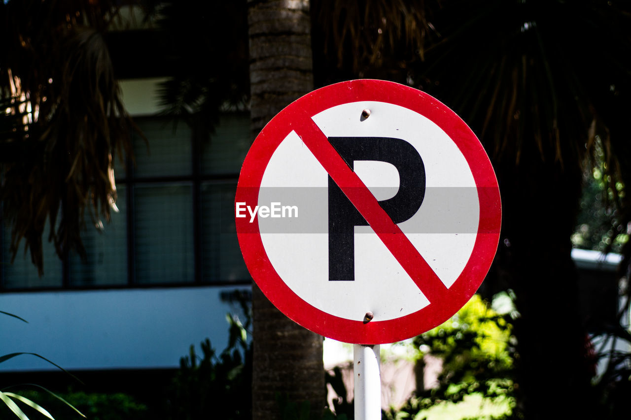 CLOSE-UP OF ROAD SIGN ON TREE