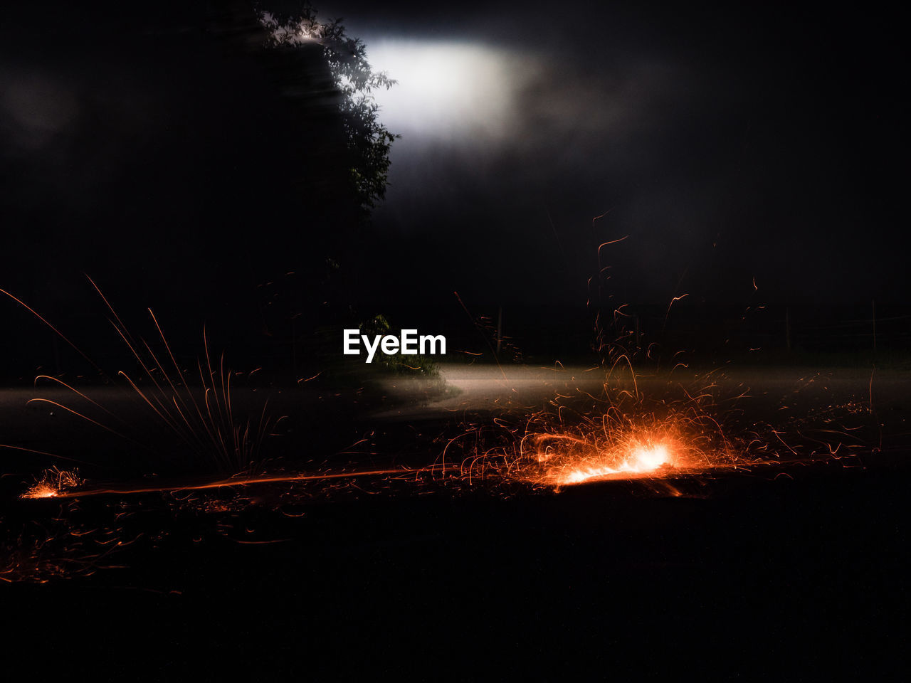 FIREWORK DISPLAY OVER TREES IN FOREST