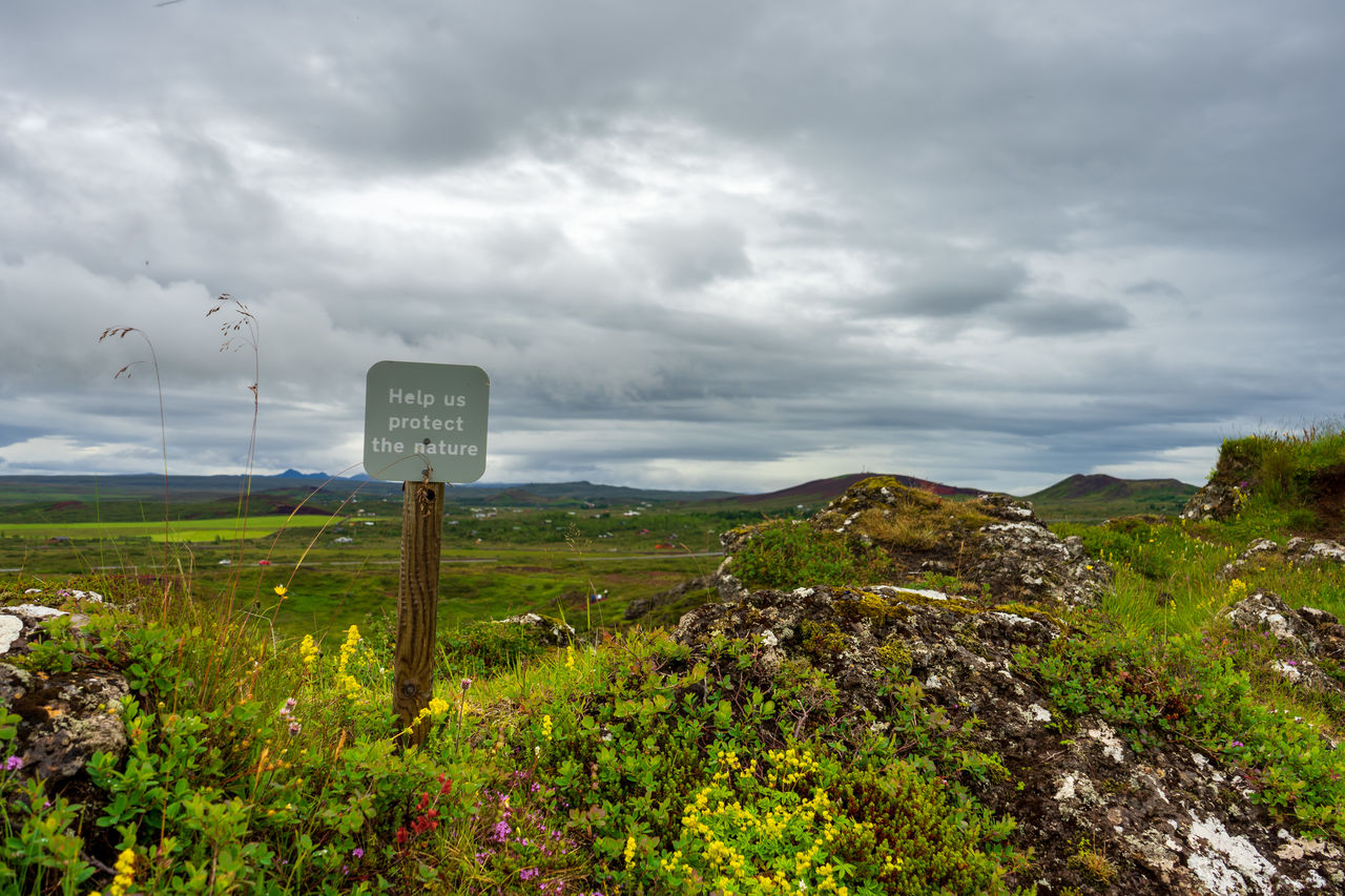 ROAD SIGN BY PLANTS AGAINST SKY