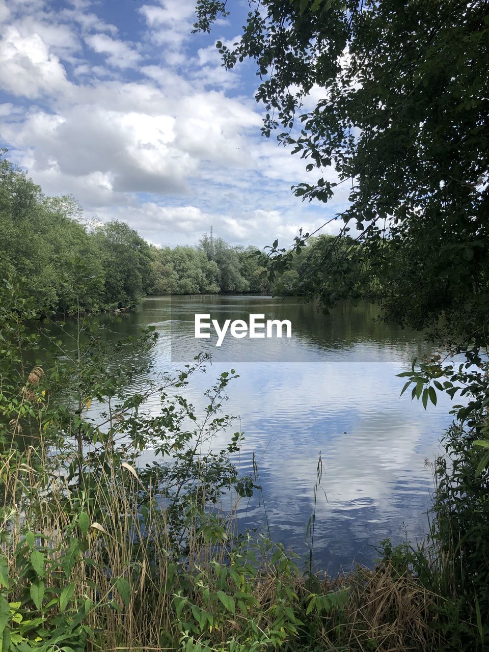 SCENIC VIEW OF LAKE AMIDST TREES AGAINST SKY