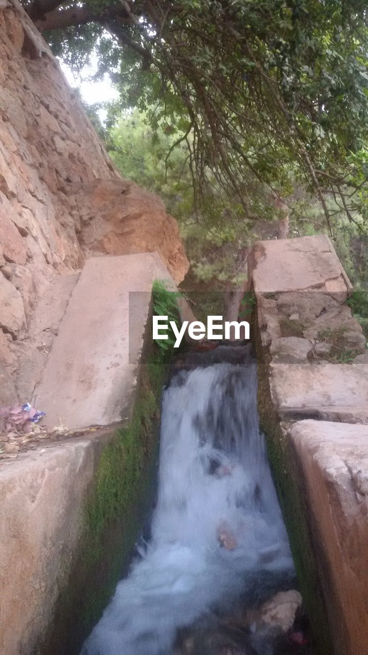 WATERFALL AMIDST TREES