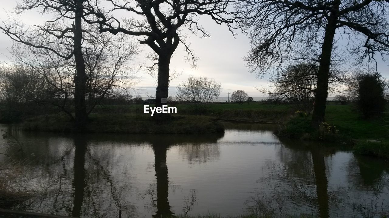 REFLECTION OF TREES IN WATER