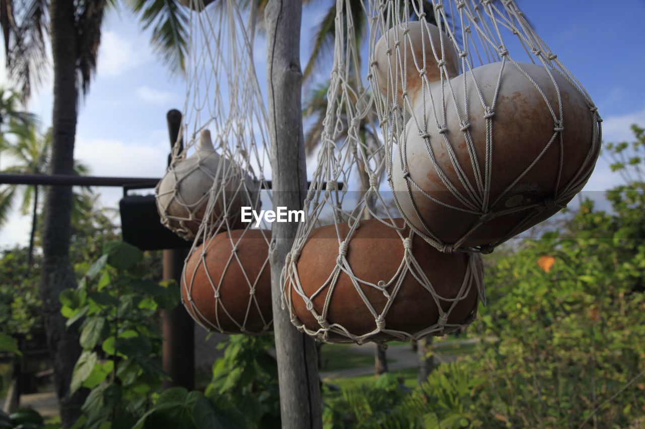 Pots hanging in nets