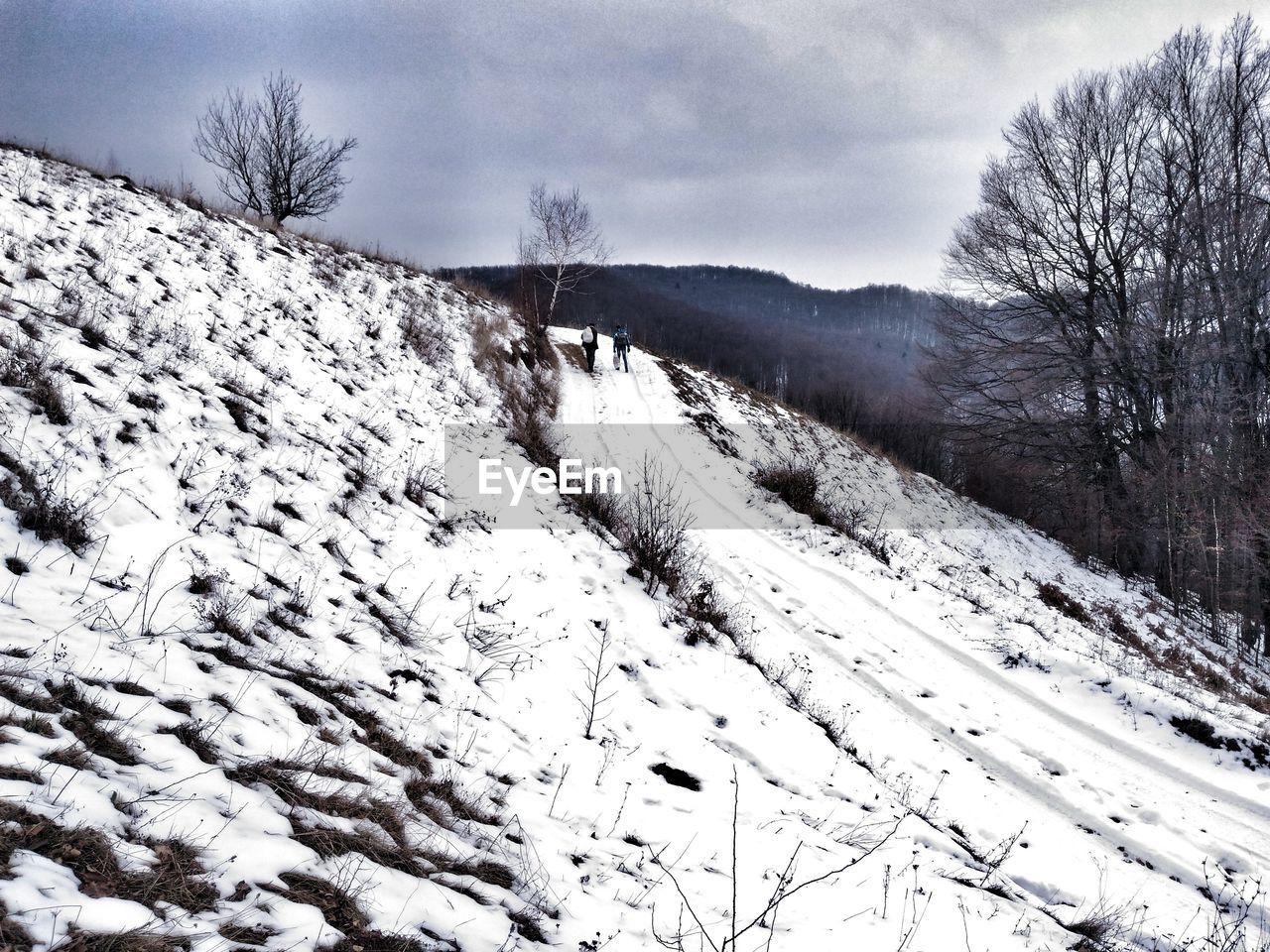 SCENIC VIEW OF SNOW COVERED LANDSCAPE