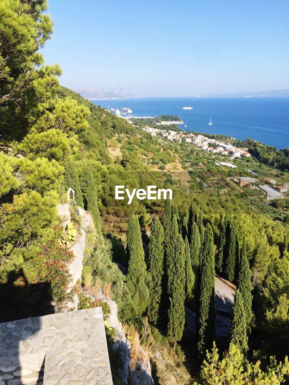 HIGH ANGLE VIEW OF TREES BY SEA AGAINST CLEAR SKY