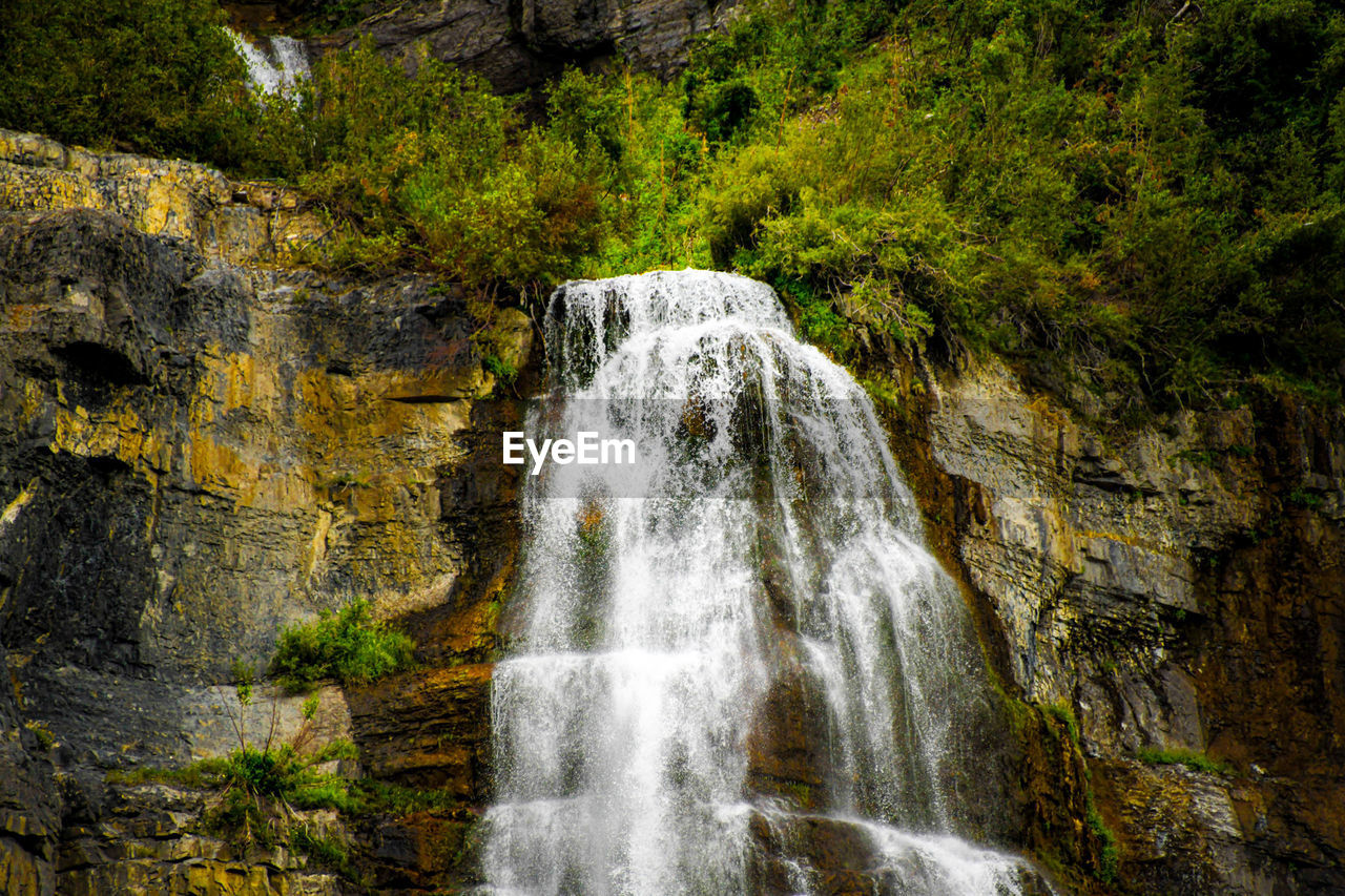 scenic view of waterfall in forest