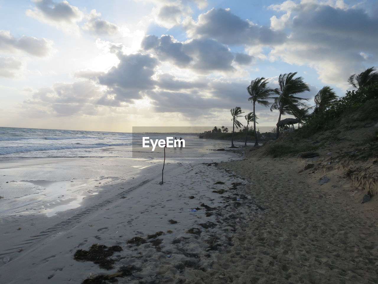 SCENIC VIEW OF BEACH