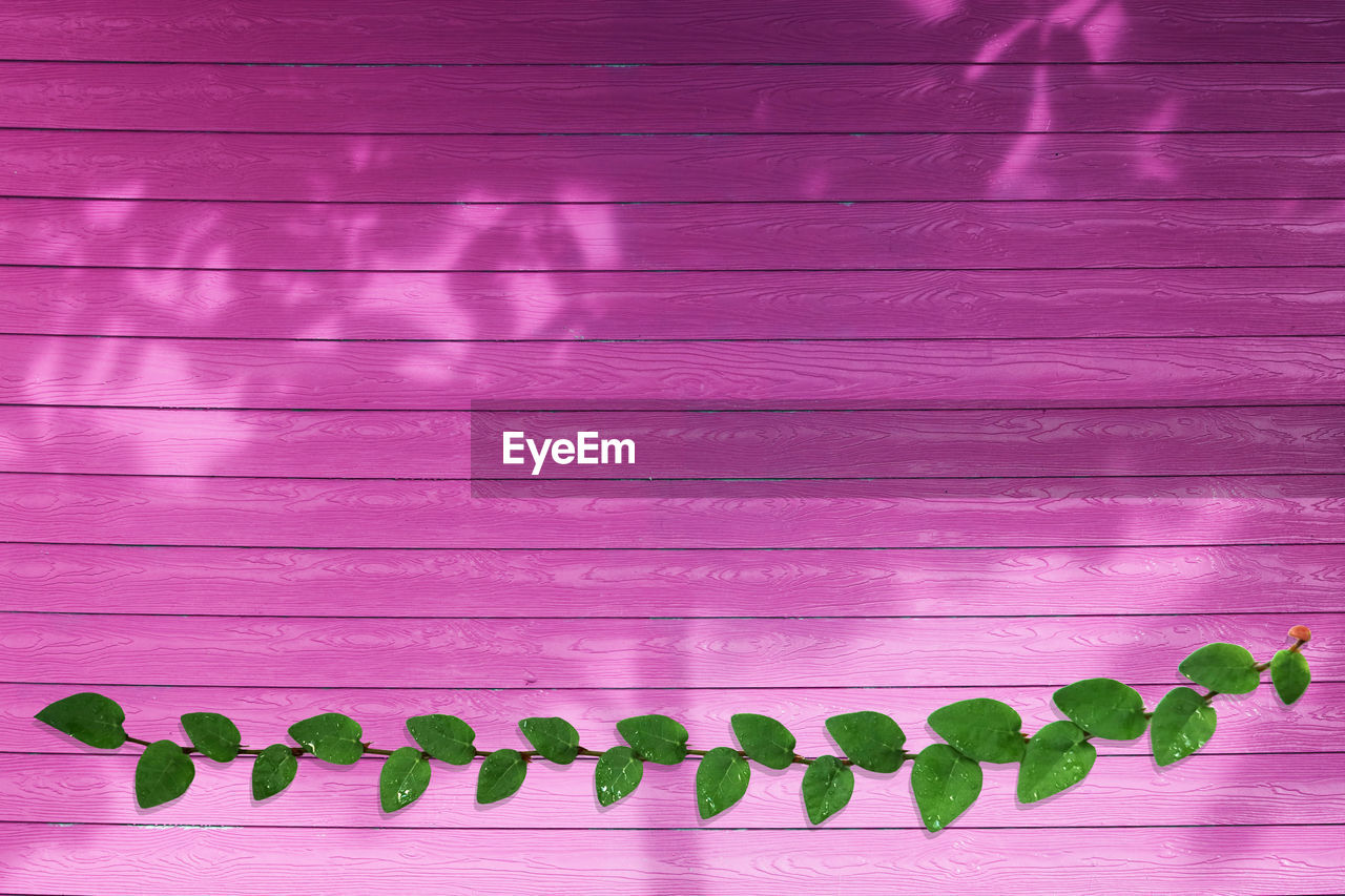 PINK UMBRELLA ON WOODEN TABLE