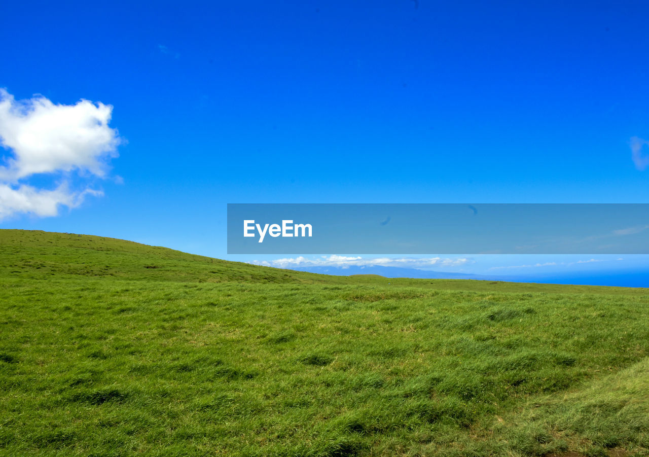 Scenic view of landscape against blue sky