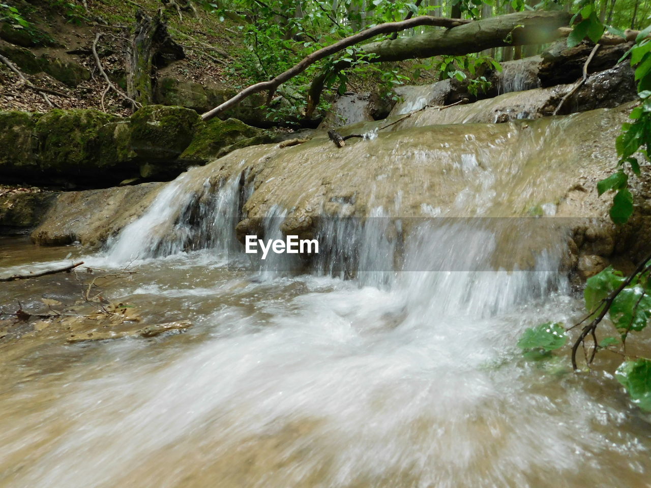 SCENIC VIEW OF WATERFALL AGAINST TREES