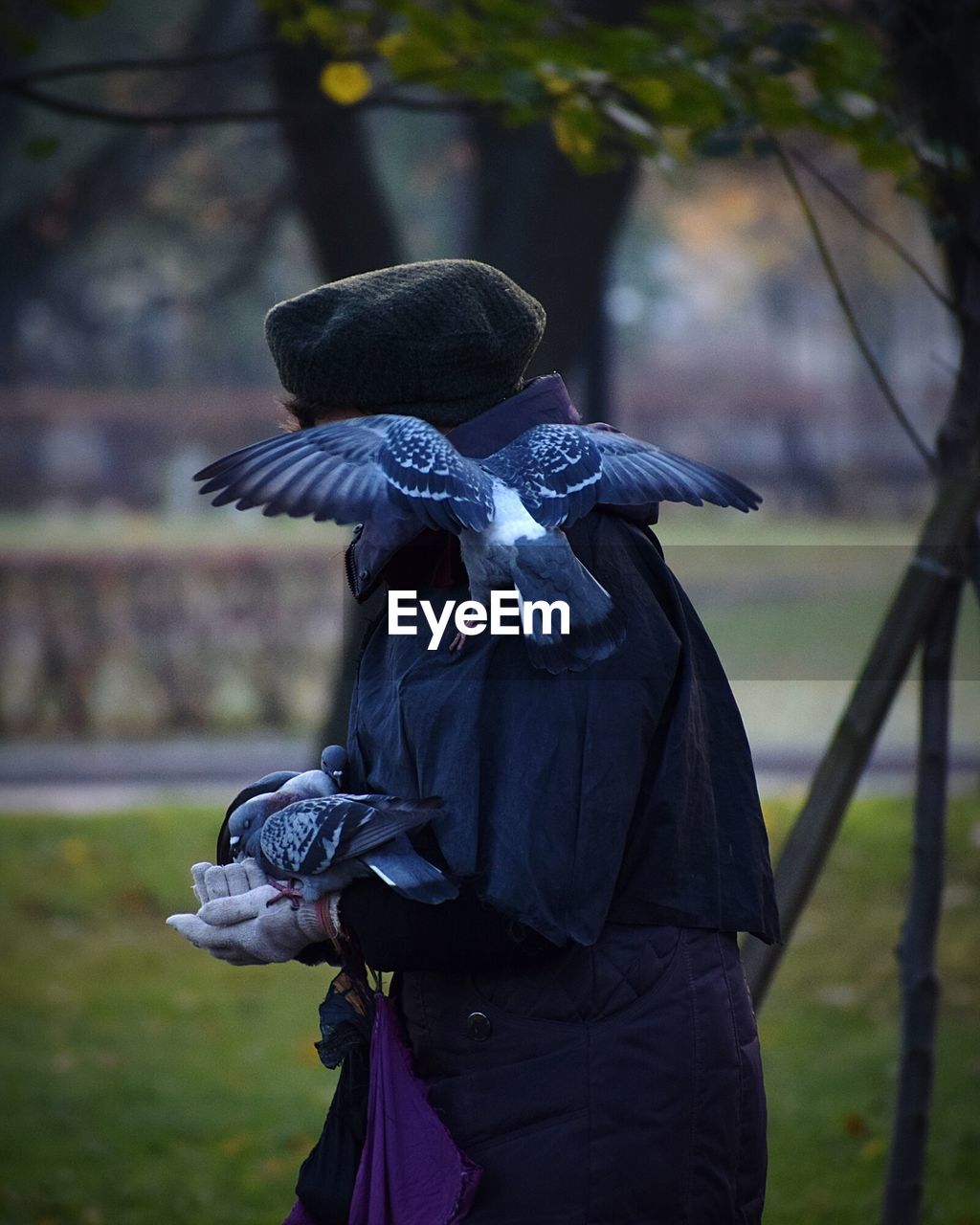 Pigeons perching on person standing at field