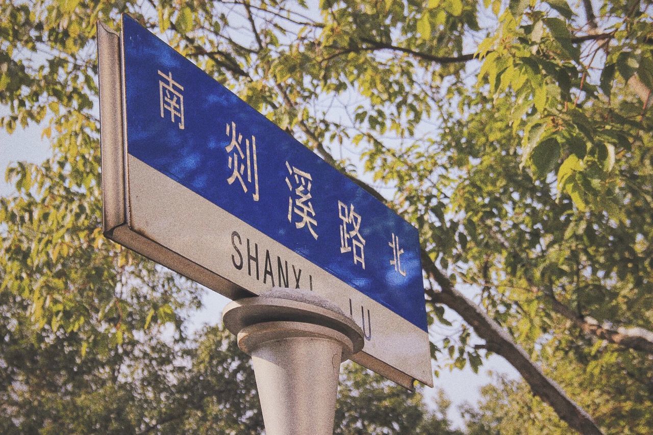 CLOSE-UP OF ROAD SIGN AGAINST TREES