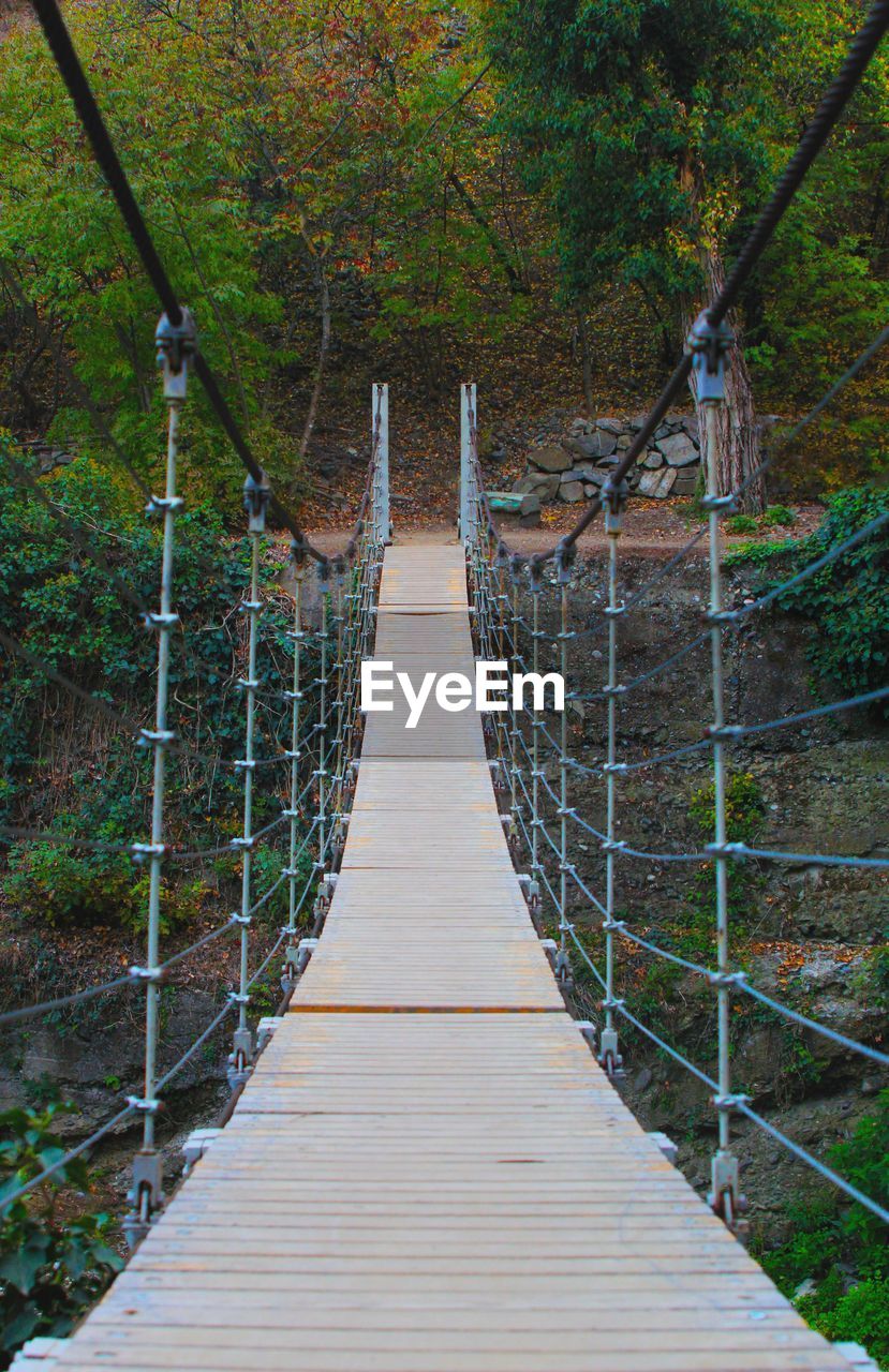 WOODEN FOOTBRIDGE IN FOREST