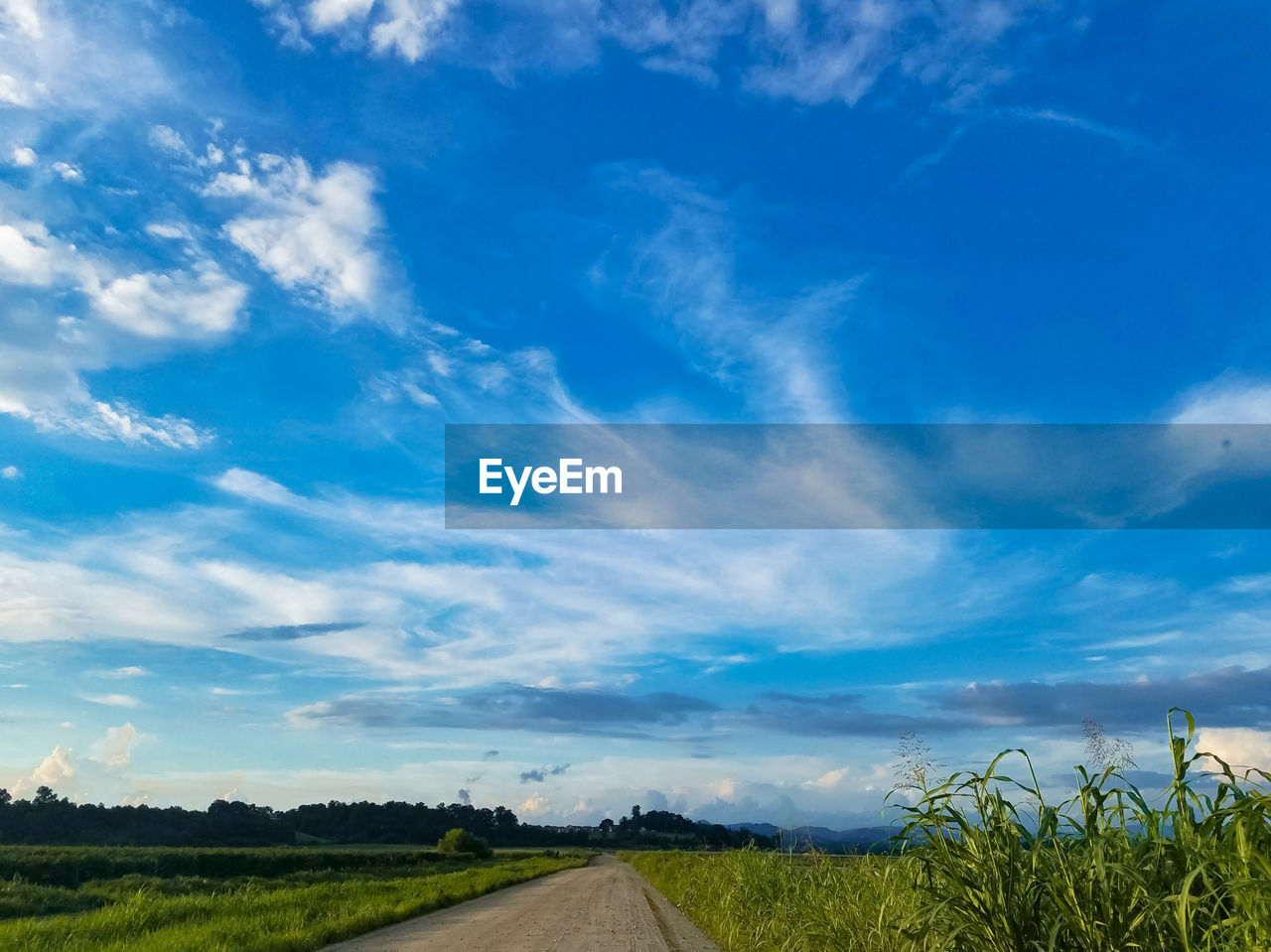 Road passing through field